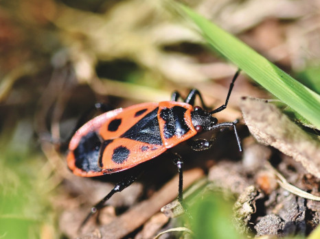 animation maternelles 5