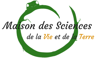 logo MSVT